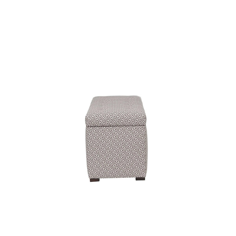 Angela Transitional Living Room Storage Trunk Bench
